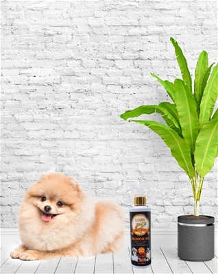 DẦU CÁ HỒI DƯỠNG DA, LÔNG MỀM MẠI VÀ KHỎE MẠNH CHO THÚ CƯNG 