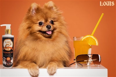 DẦU CÁ HỒI LOUIS DƯỠNG LÔNG VÀ TĂNG CƯỜNG MIỄN DỊCH CHO THÚ CƯNG 