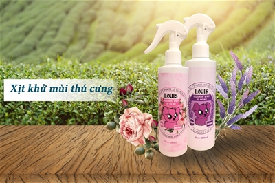 6 CÁCH KHỬ MÙI HÔI CHÓ MÈO TRONG NHÀ HIỆU QUẢ KHÔNG NGỜ  