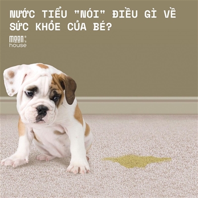 Nước tiểu có &rdquo;nói&rdquo; điều gì về sức khoẻ của bé 