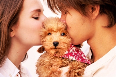 10 đặc quyền tuyệt vời khi sở hữu thú cưng